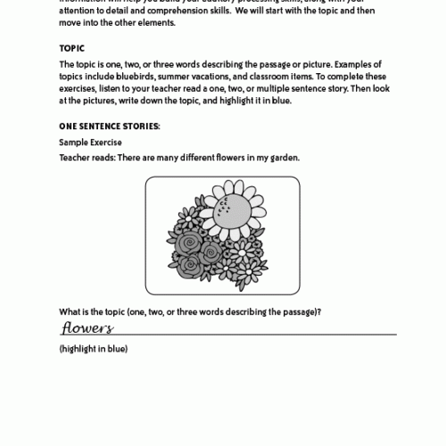 auditory-processing-p2